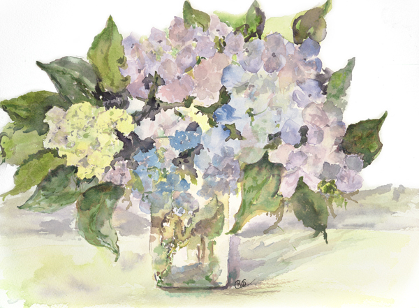 Hydrangea Hydrangea